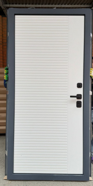 МЕТАЛЛИЧЕСКАЯ ДВЕРЬ МОДЕЛЬ RX -34 (ТЕРМОРАЗРЫВ)